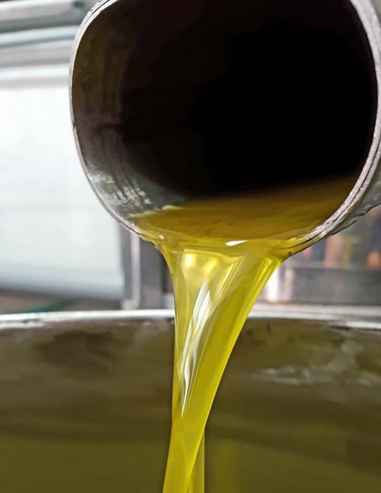 OLIO VELLUTO SERRANELLO